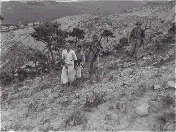 1950. 7. 29. 경남 진주 부근에서 생포한 빨치산(?). 원문은 포로로 되어 있다. 